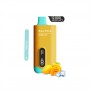 Saltica Ekranlı 12000 Mango Ice Disposable Vape Bar