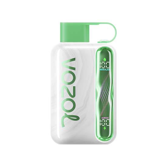 Vozol Star 40000 Watermelon Ice Disposable Vape Bar